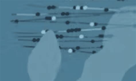 Image result for Java Oracle Tutorial