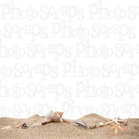 Shell Border 的图像结果