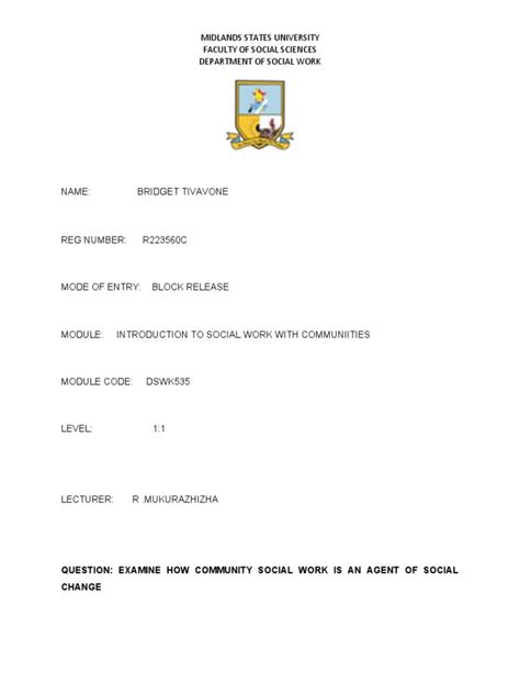 Community Support Worker Notes Examples 的图像结果