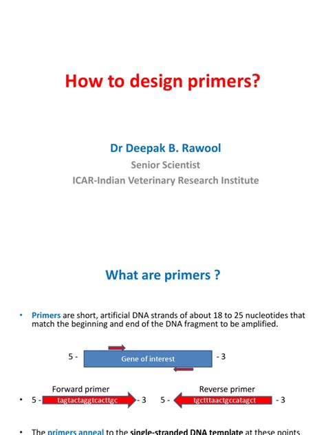 Primer Design Step by Step 的图像结果
