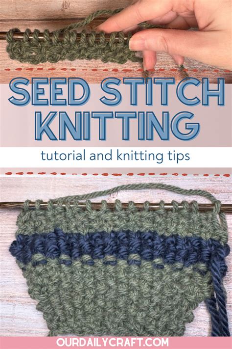 Seed Stitch Tutorial 的图像结果