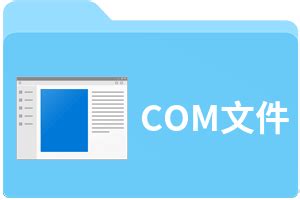 Com File 的图像结果