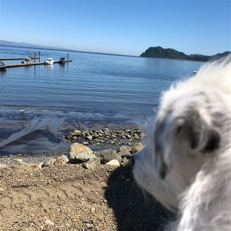 VAN RIPER'S RESORT (Sekiu) - Hotel Reviews, Photos, Rate Comparison ...