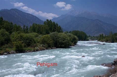 RIVER VIEW RESORT PAHALGAM (Kashmir) - Resort Reviews, Photos, Rate ...
