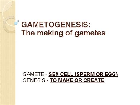 Image result for Gamete Example