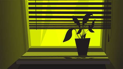 Wallpaper home plant, plant, window, shutters, vector hd, picture, image