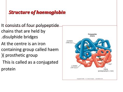 Image result for Normal Hemoglobin Structure