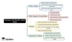 Mind Map: The Wonder Called Sleep - Class 6 PDF Download