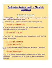 Crash Course Endocrine System 的图像结果