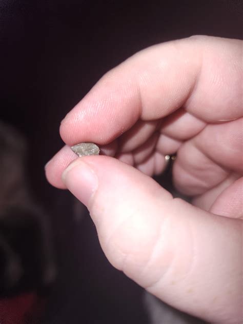 I found this rock in my Great Value hash browns. Thanks Walmart... : r ...