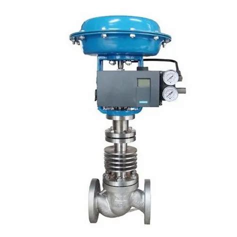 Industrial Valves - WJ Globe Valves Manufacturer from Delhi