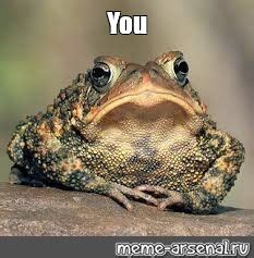 Fart Toad Meme 的图像结果