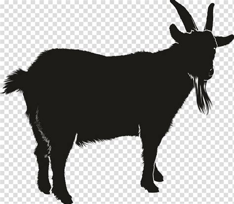 Image result for Best WA. Some Python Projects