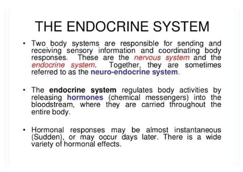Endocrine System Overview - Notes for Biology Course - Studocu