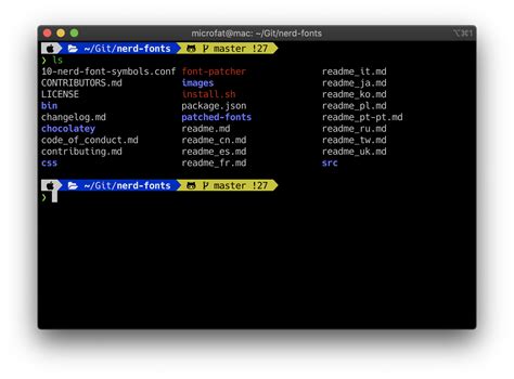 漂亮的终端：zsh+zim+powerlevel10k+nerd font_卸载powerlevel10k-CSDN博客