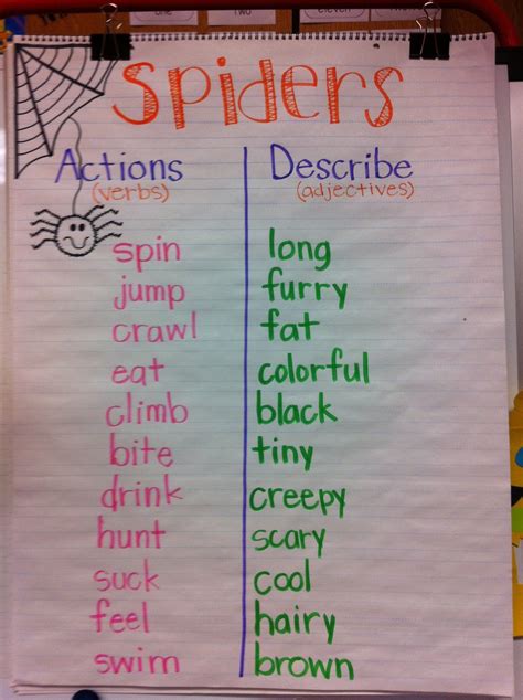 spiders! Verbs and adjectives | Describing words, Teaching, School