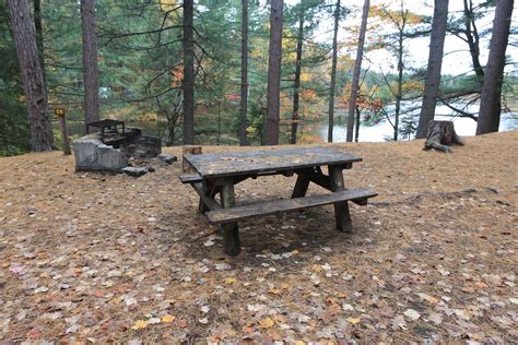 The Campsites: Fish Creek Pond NY DEC Campground, site C-6