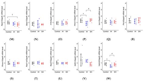 Intermittent Hypoxia Induces Cognitive Dysfunction and Hippocampal Gene ...