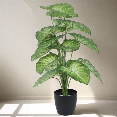Artificial Plants – Vaaree