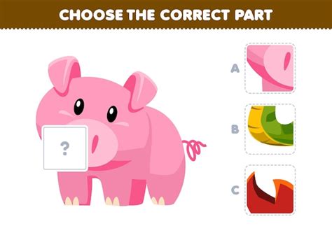 Pocoyo Educativo Imagens – Download Grátis no Freepik