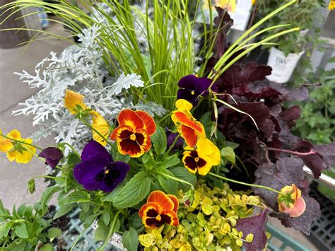 Fall Planter Workshop, Green Barn Garden Center, Isanti, 7 September to ...