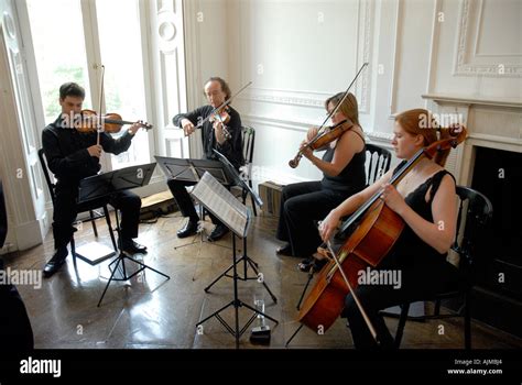 Image result for Beautiful Modern String Quartet