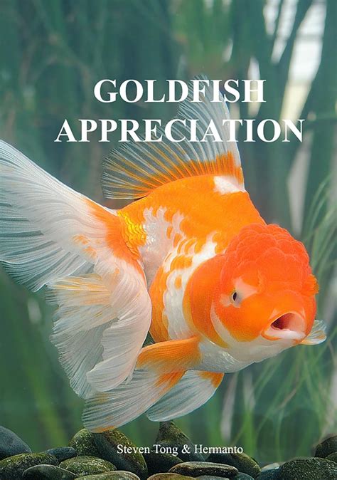 GOLDFISH APPRECIATION: Goldfish Judging eBook : Tong, Steven, Hermanto ...