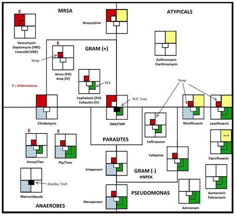 Antibiotic Coverage Chart