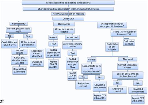 Bone Development Algorithm 的图像结果