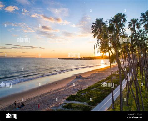 Is East Beach Santa Barbara Dog Friendly