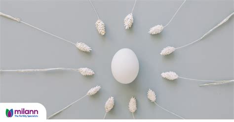 Milann | The Fertility Specialist