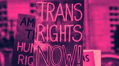 Transgender Board Member in UP Accused of Abusing Trans Persons