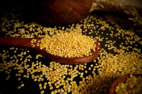 FOXTAIL MILLET (KORRALU) - Organo
