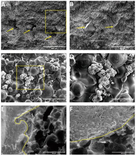 Characterization and Biomechanical Study of a Novel Magnesium Potassium ...
