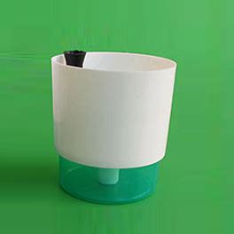 Self watering pots buy online at low price from plantsguru