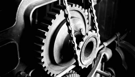 Avoid the Trap of Becoming a Cog in a Machine: Be a Lifelong Learner ...