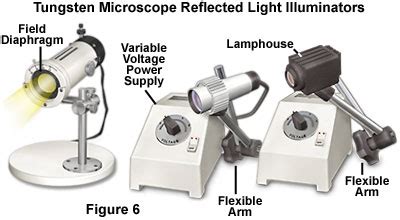 Compound Microscope Light Source 的图像结果