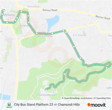 201 Route: Schedules, Stops & Maps - Chamundi Hills (Updated)
