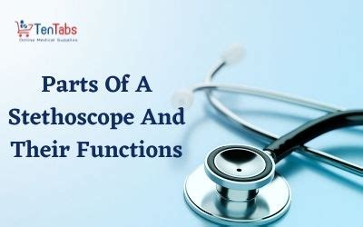5 Different Parts of Stethoscope and Their Functions - TenTabs