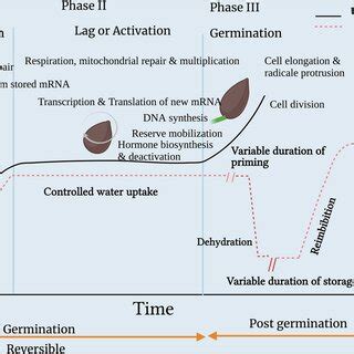 Seed Coating Formula 的图像结果