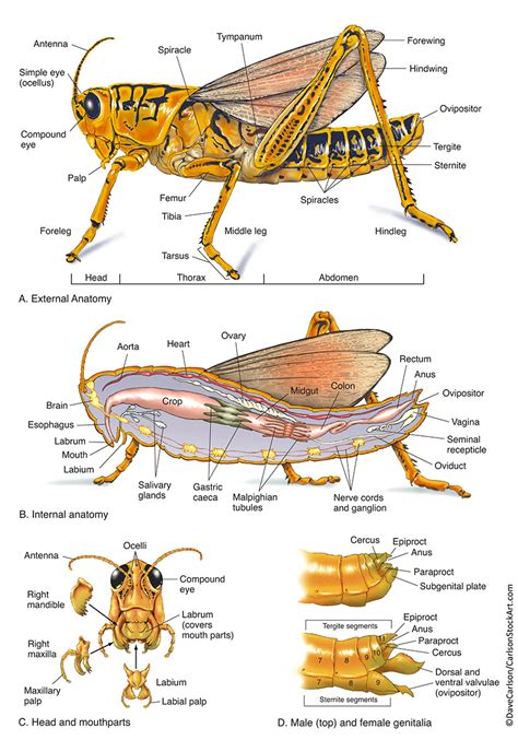 Image result for External CSS File