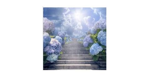 Georgia Hancock-Overton Obituary (2024) - Austin, TX - King-Tears ...