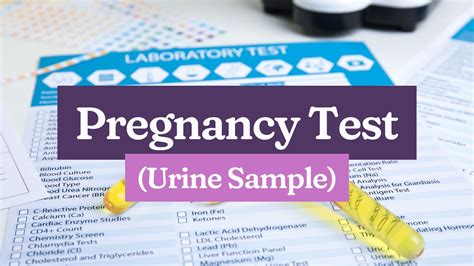 Pregnancy Test (Urine) by Hi-Precision at NOVALICHES