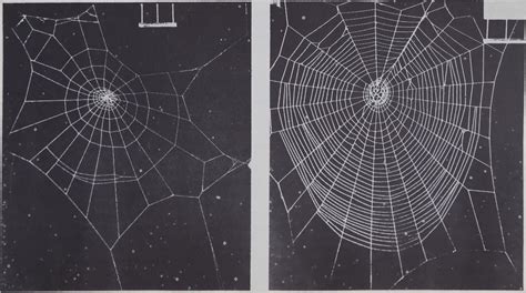 Image result for web]