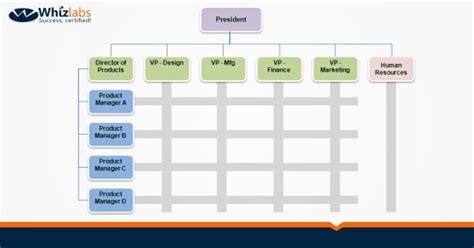 Balanced Matrix Organizational Structure 的图像结果