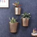 Gold & Black Hammered Wall Planter - Set of 3 – Writings On The Wall