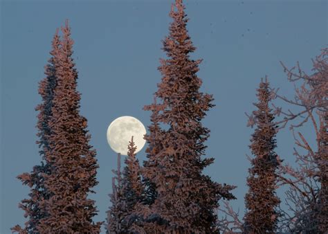 A Witch’s Guide to the Cold Moon: Meaning, Rituals & More