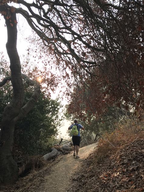 Crockett Hills Regional Park – Hakucho 白鳥 Hikes