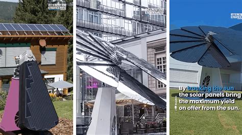 Solar Flower 的图像结果