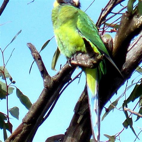 THE SPECTACLES WETLANDS (2024) All You Need to Know BEFORE You Go (with ...